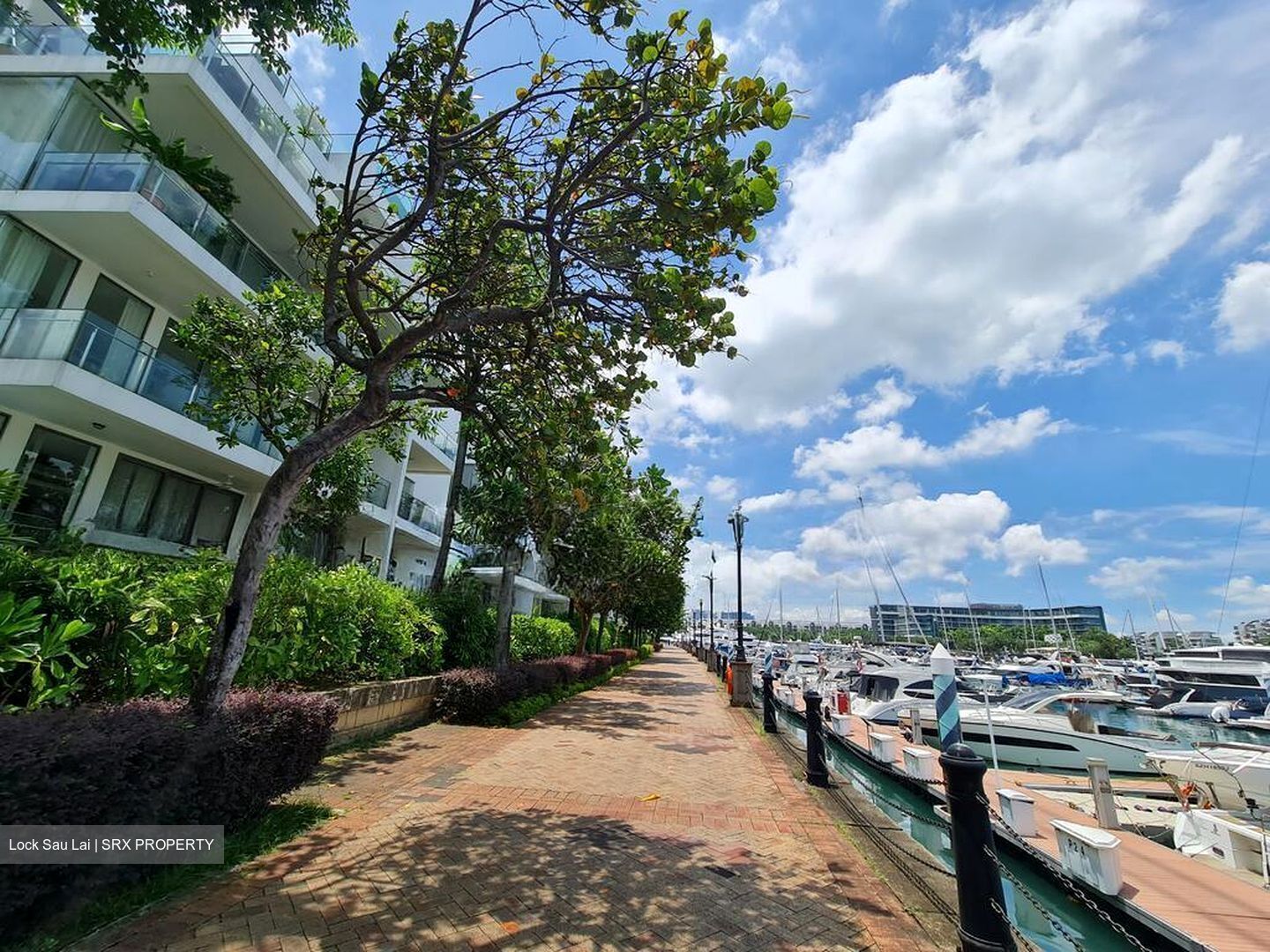Marina Collection (D4), Condominium #500253071